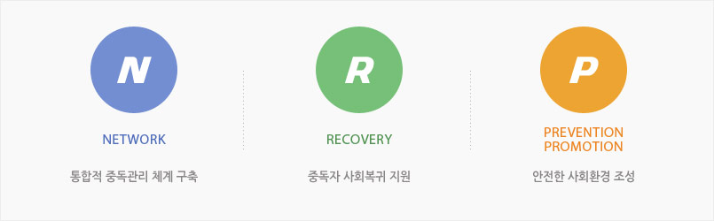 NEWWORK- ߵ ü豸, RECOVERY-ߵ ȸ , PREVENTION & PROMOTION- ȸȯ 